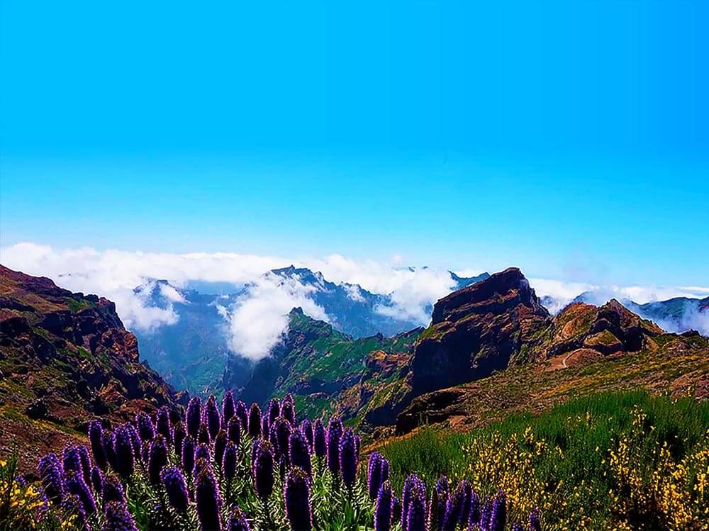 MAJESTEUX PICO DO ARIEIRO ET CURRAL DAS FREIRAS