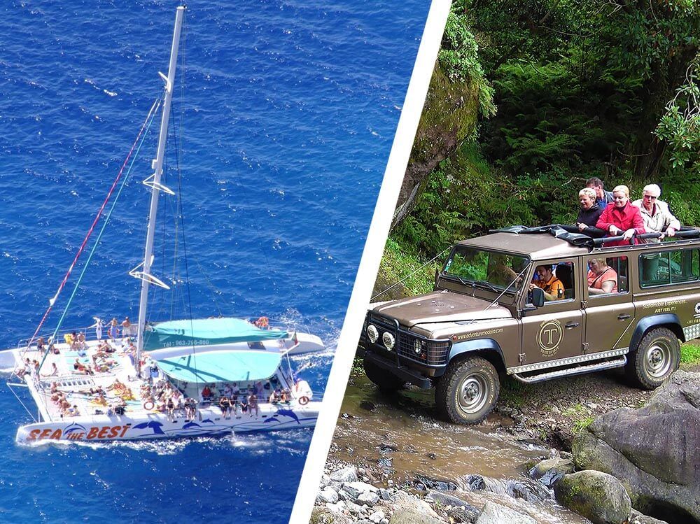 CABO GIRÃO E EXPERIÊNCIA PROFISSIONAL DE VINHOS + OBSERVAÇÃO DE GOLFINHOS