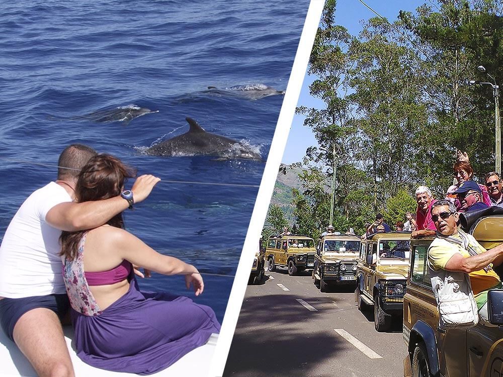 CABO GIRÃO, PENHASCOS E VALES SURPREENDENTES + OBSERVAÇÃO DE GOLFINHOS